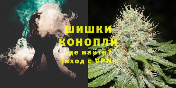 СК Зеленокумск