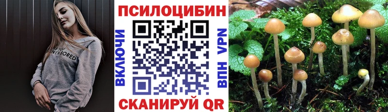 Псилоцибиновые грибы мухоморы  наркотики  Зарайск 