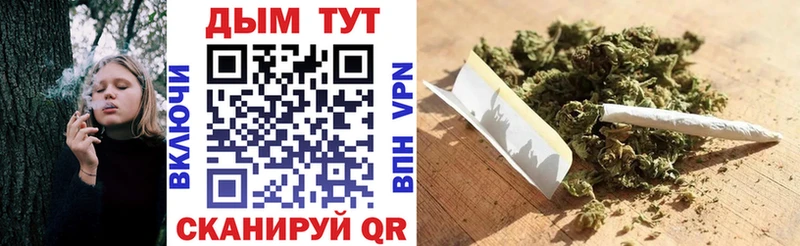 Бошки Шишки SATIVA & INDICA  где купить наркоту  кракен ССЫЛКА  Зарайск 